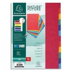 Intercalaires - jeu de12 -Exacompta - Format A4 - carte lustrée 3/10ème 225g - Perfo. 18 trous