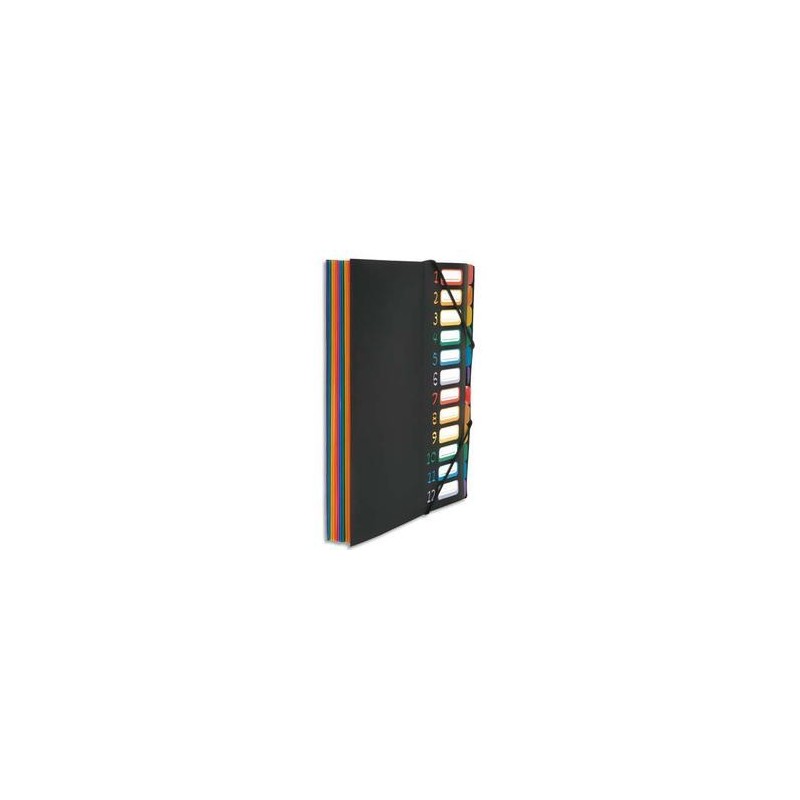 Trieur/Bureau - RAINBOW - 12 Compart - Noir - VIQUEL Trieur/Bureau - RAINBOW - 12 Compart - Noir - VIQUEL