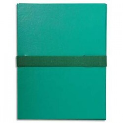 EXACOMPTA Chemise extensible en balacron. Rabat en pied, fermeture par sangle velcro. Coloris vert clair