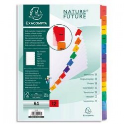 EXACOMPTA Jeu d'intercalaires janvier à décembre 12 touches, A4, carte blanche 170g, onglets Mylar®