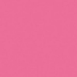 CLAIREFONTAINE Ramette de 500 feuilles papier couleur TROPHEE 80 grammes format A4 rose fuchsia 1771