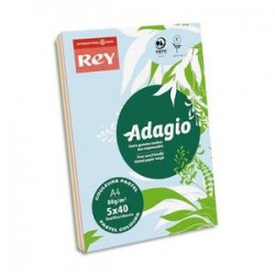 PAPYRUS Ramette 40 feuilles x 5 teintes papier couleur pastel & vive ADAGIO assortis pastel&vifs A4 80g