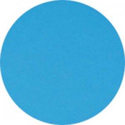 CLAIREFONTAINE Ramette de 500 feuilles papier couleur TROPHEE 80 grammes format A3 bleu vif 1256