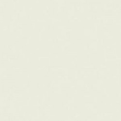 CLAIREFONTAINE Ramette de 500 feuilles papier couleur TROPHEE 80 grammes format A3 gris perle 1251