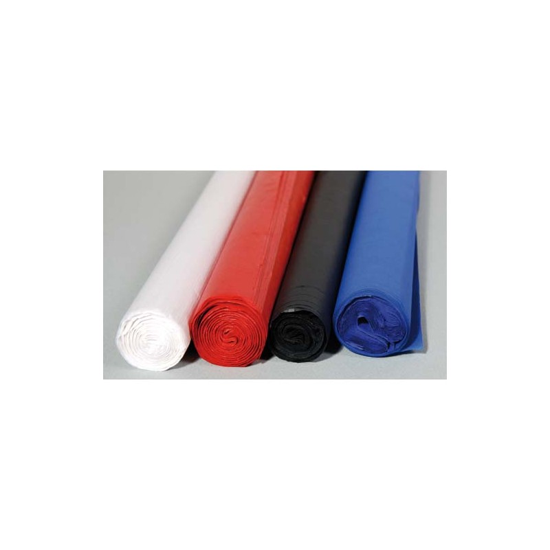 CLAIREFONTAINE Rouleau de 24 feuilles 50x70 cm couleurs assorties CLAIREFONTAINE Rouleau de 24 feuilles 50x70 cm couleurs assorties