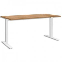 GAU BURO PIED I FIXE YES L160 MER U24116