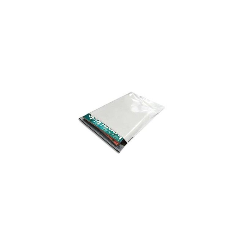 BNG B/100 POCHET PLAST 24X32.5 BLC 68290 BNG B/100 POCHET PLAST 24X32.5 BLC 68290