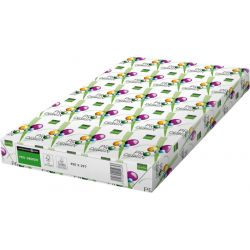 REY Ramette 500 feuilles papier extra Blanc satiné PRO DESIGN A3 90G