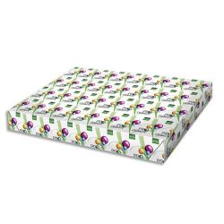 PRO DESIGN Ramette 125 feuilles papier extra Blanc satiné A3 300G