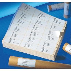 AVERY Boîte de 2000 étiquettes ordinateur 125X74