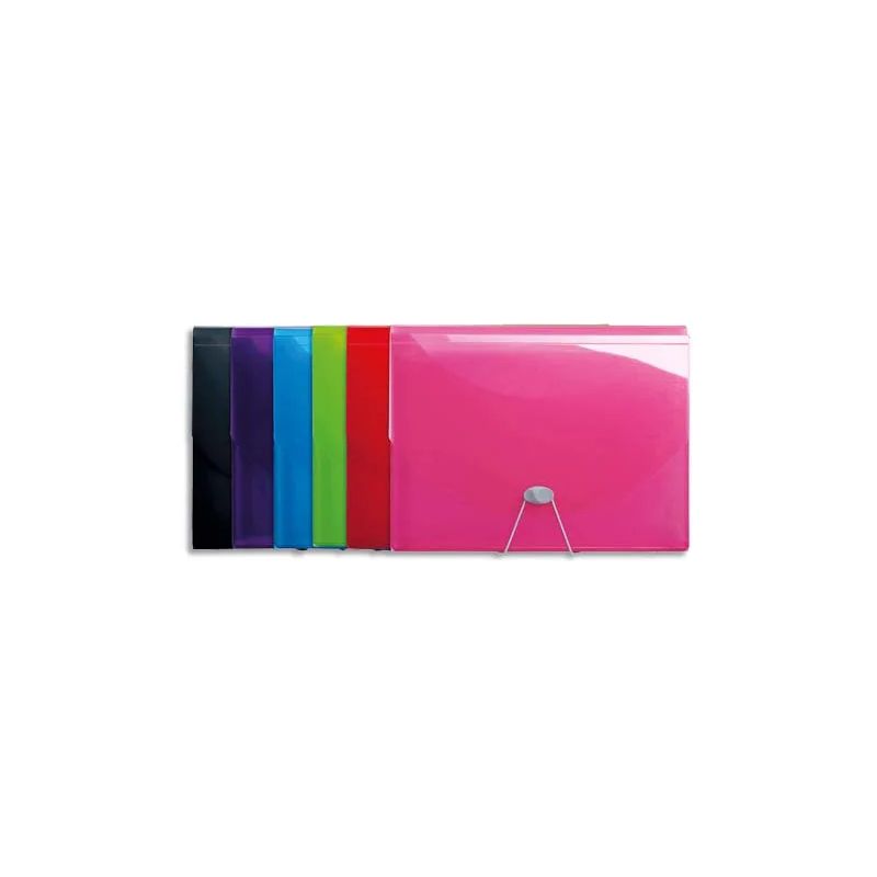 EXACOMPTA Trieur valisette 13 positions IDERAMA PP 7/10e Bleu clair, Vert anis, Rose, Violet, Bleu foncé EXACOMPTA Trieur valisette 13 positions IDERAMA PP 7/10e Bleu clair, Vert anis, Rose, Violet, Bleu foncé