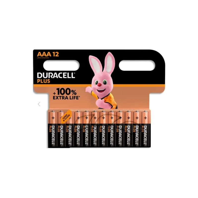 DURACELL Piles alcalines AAA Plus 100%, 1.5V LR03 MN2400, lot de 12 piles DURACELL Piles alcalines AAA Plus 100%, 1.5V LR03 MN2400, lot de 12 piles