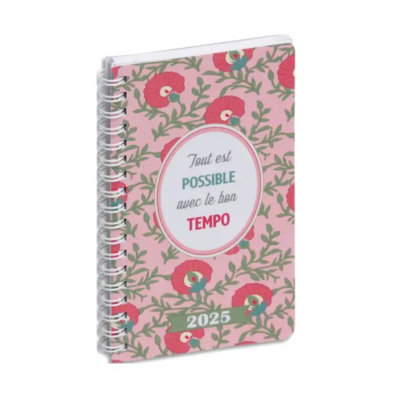 EXACOMPTA Agenda de poche Lady 16S Dodo & Cath 9x16 cm spiralé Janvier à Décembre 2025 Possible EXACOMPTA Agenda de poche Lady 16S Dodo & Cath 9x16 cm spiralé Janvier à Décembre 2025 Possible
